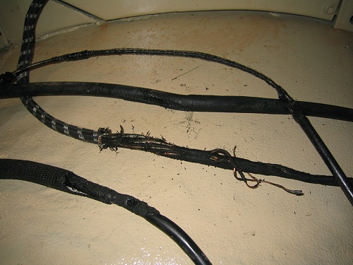 Click image for larger version
Name: Pat 12 Cable Fire Sept 07 018.jpg
Views: 2
Size: 486.5 KB
ID: 107861