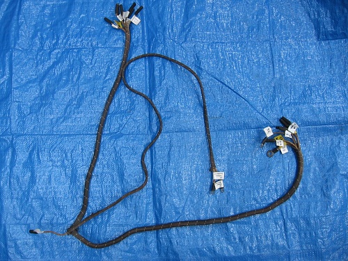 NOS harness.JPG