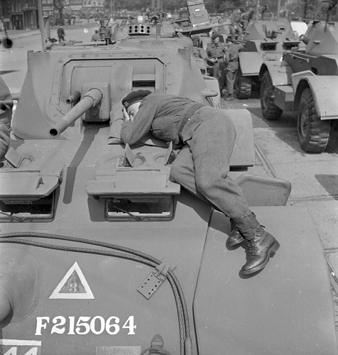 Click image for larger version

Name:	Amsterdam Staghound.jpg
Views:	9
Size:	480.8 KB
ID:	124707