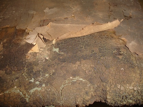 Early CMP roof pad 1.jpg