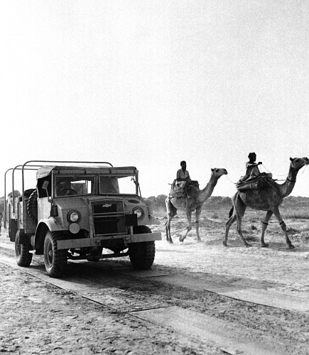 Click image for larger version

Name:	indianexceptionalism.com-us-army-canadian-military-pattern-trucks-ride-alongside-camels-in-india.jpg
Views:	0
Size:	783.2 KB
ID:	139384