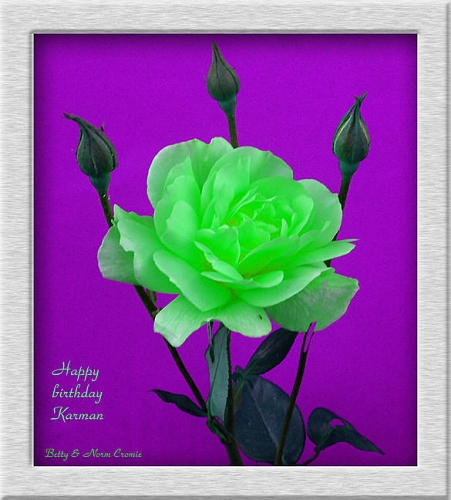 green rose.jpg