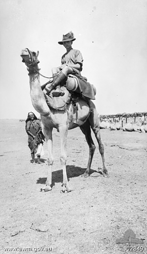 1213ausambsyria1917.jpg