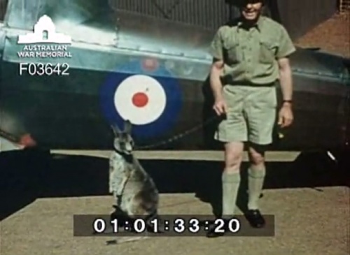 Click image for larger version

Name:	RAAF Parkes Wackett trainer  1.jpg
Views:	2
Size:	71.9 KB
ID:	94391