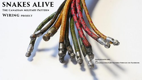 Click image for larger version

Name:	Snakes Alive title.jpg
Views:	61
Size:	43.8 KB
ID:	70681