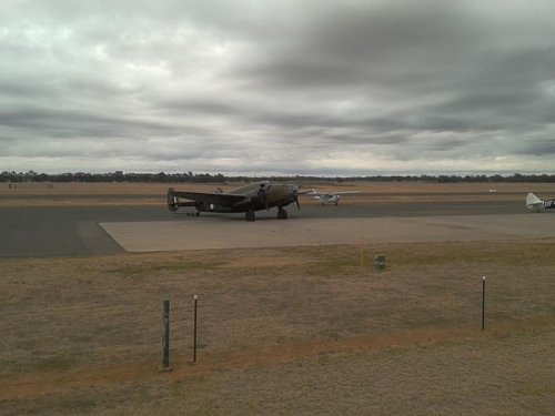 Temora 09.jpg