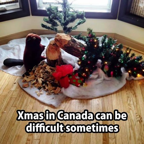 beaver christmas tree.jpg