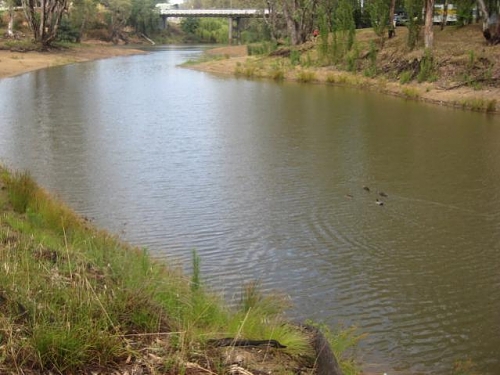 Corowa January 2009 004.jpg