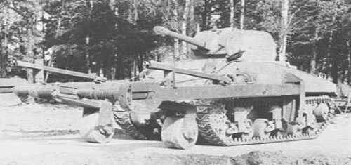 sherman with cird.jpg