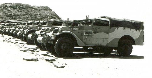 Click image for larger version

Name:	White scout car convoy Alice Springs.jpg
Views:	16
Size:	40.6 KB
ID:	67501