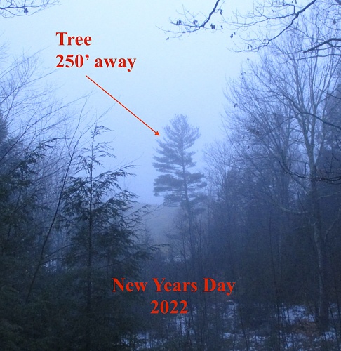 Click image for larger version

Name:	New Years 2022.jpg
Views:	2
Size:	113.8 KB
ID:	126847