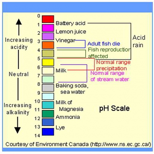 pH_Scale.jpg