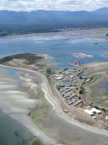 Goose Spit 1.jpg