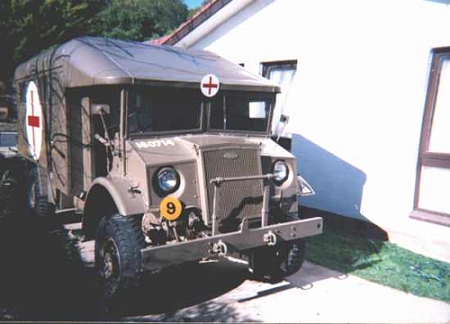 ambo44.jpg