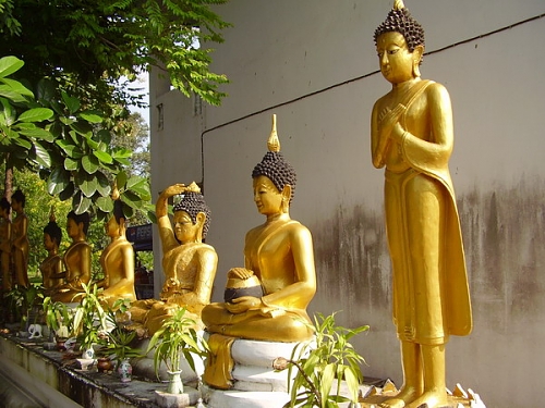 eight buddhas.jpg