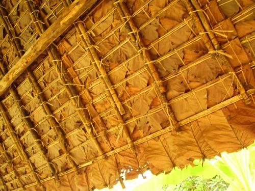 teak leaf roof.jpg