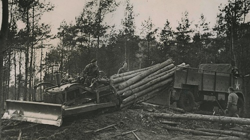 Forestry corps.jpg