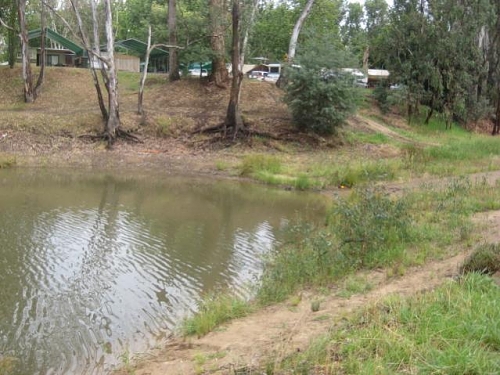 Corowa January 2009 003.jpg