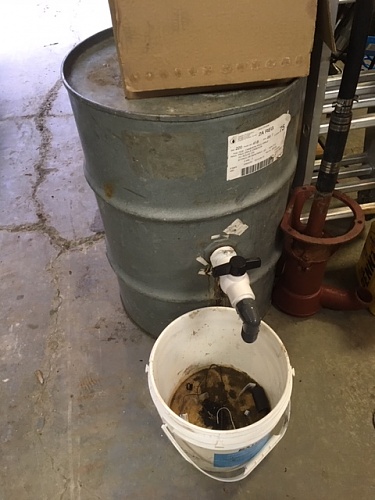 A barrel of molasses Oct 30 2018.JPG