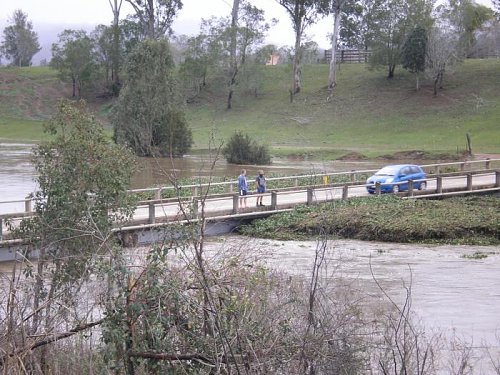 Click image for larger version
Name: P8250058.jpg
Views: 32
Size: 82.2 KB
ID: 39370