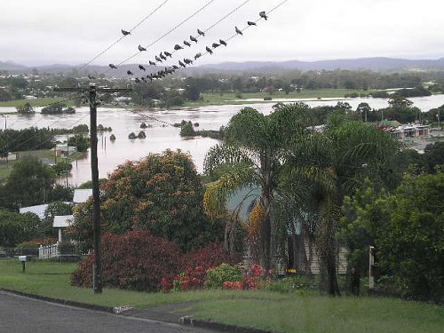 Click image for larger version
Name: P1110067.JPG
Views: 24
Size: 66.5 KB
ID: 39392