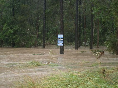 Click image for larger version
Name: 25-2.jpg
Views: 27
Size: 66.3 KB
ID: 47641