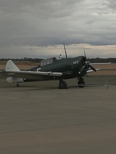 Temora 07.jpg